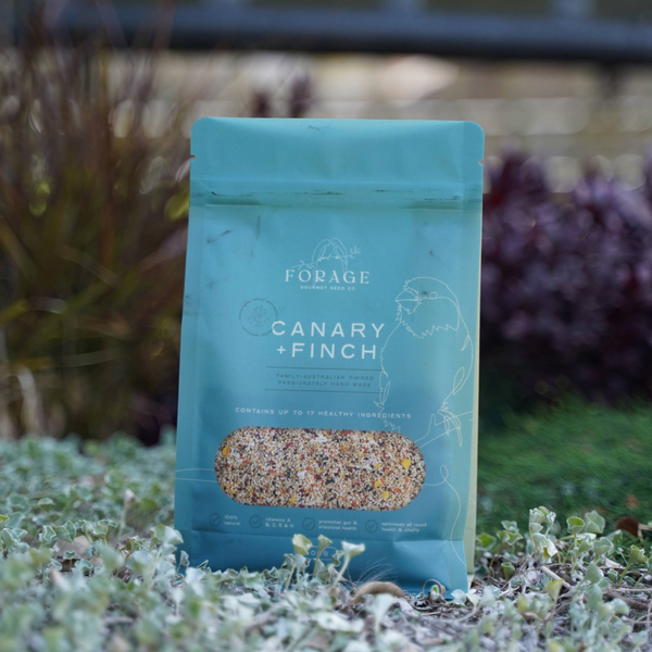 Forage Gourmet Seed - Finch & Canary Specialty Blend