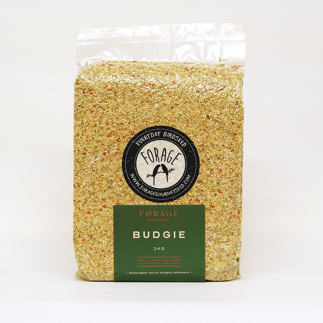 Forage Gourmet Seed - Everyday Budgie Blend