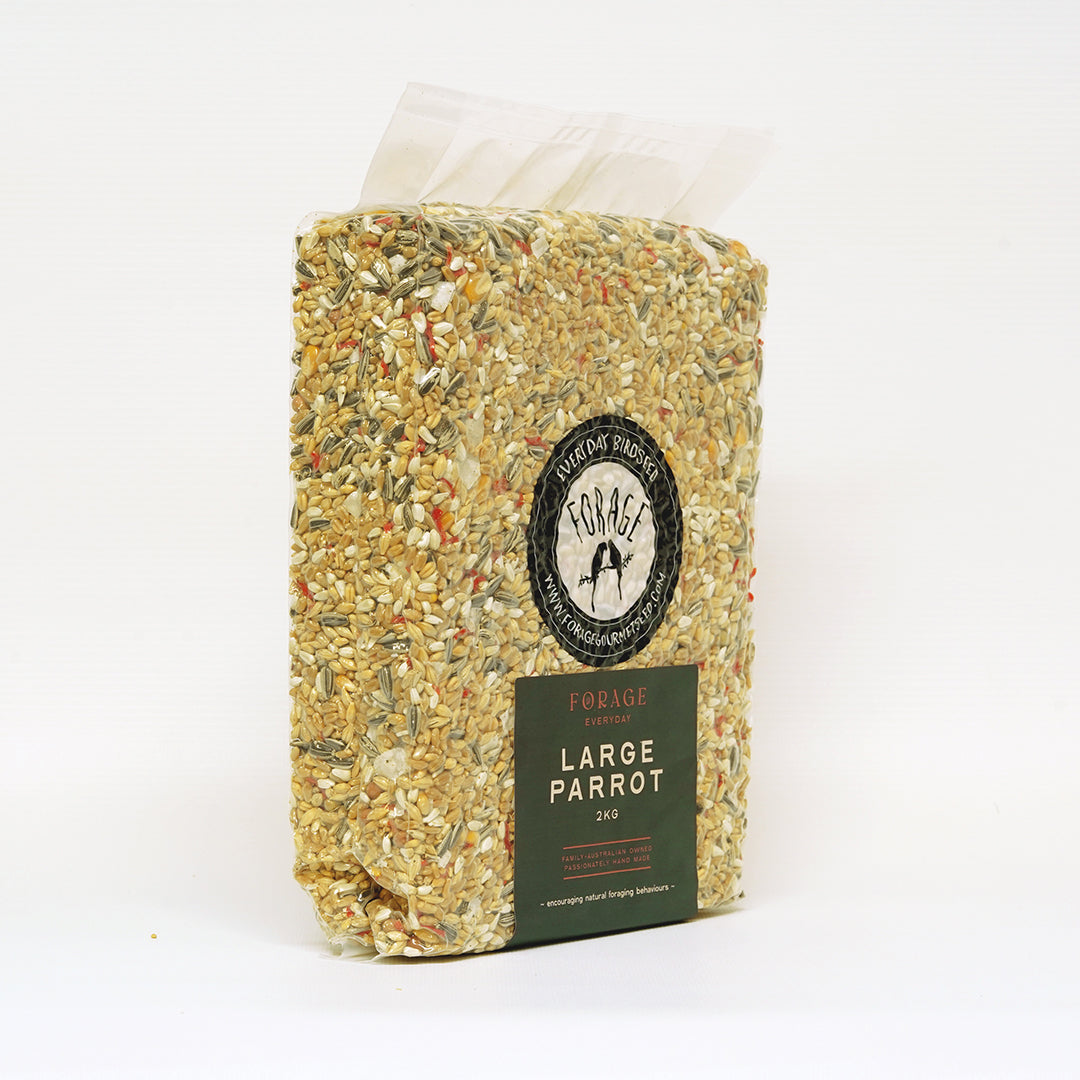 Forage Gourmet Seed - Everyday Large Parrot Blend