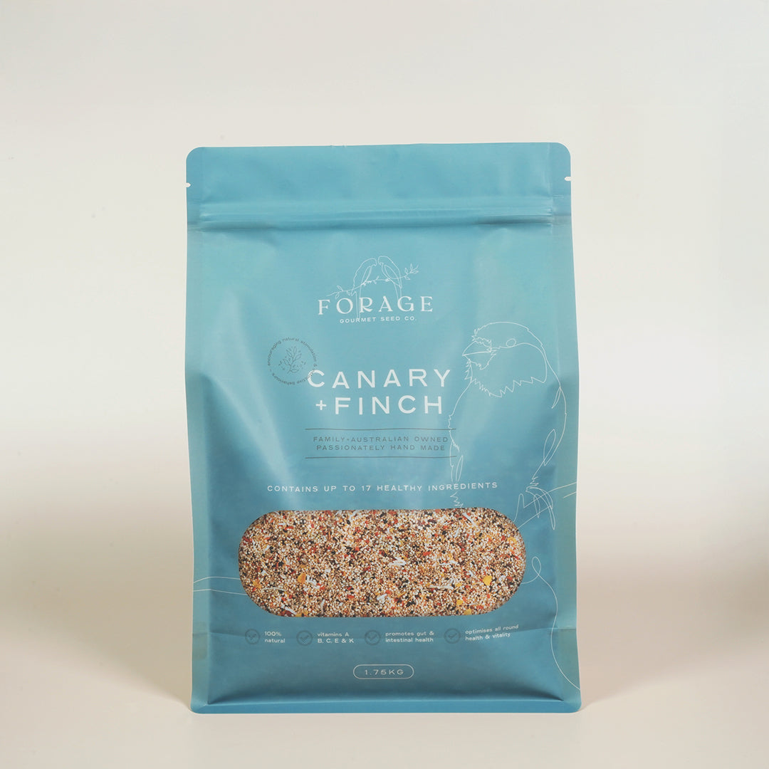 Forage Gourmet Seed - Finch & Canary Specialty Blend