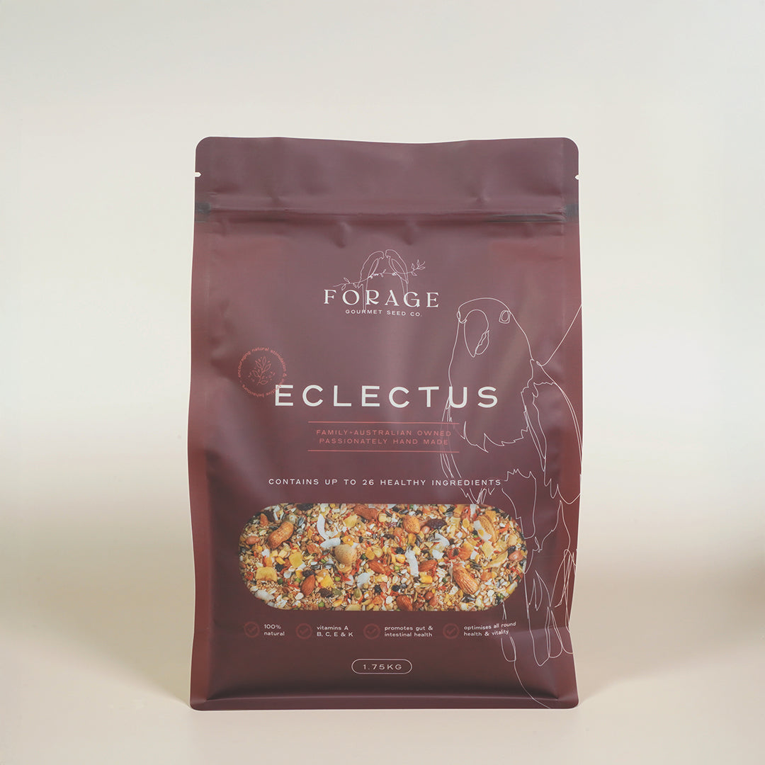 Forage Gourmet Seed - Eclectus Specialty Blend