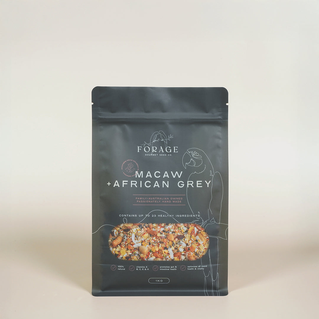 Forage Gourmet Seed - Macaw, African Grey & Amazon Specialty Blend