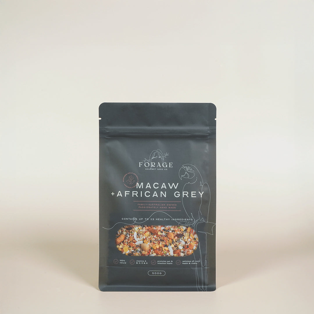 Forage Gourmet Seed - Macaw, African Grey & Amazon Specialty Blend