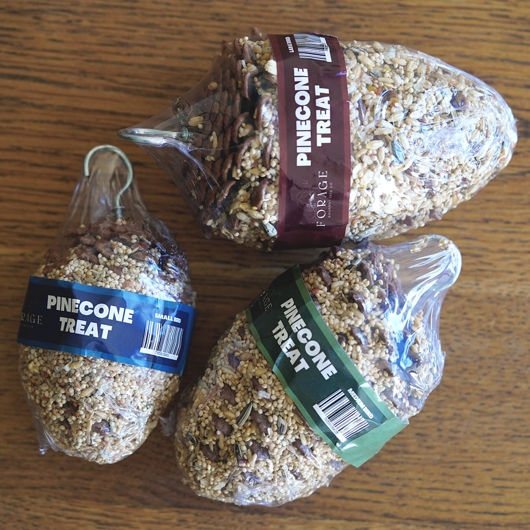 Forage Gourmet Seed - Pinecone Treats
