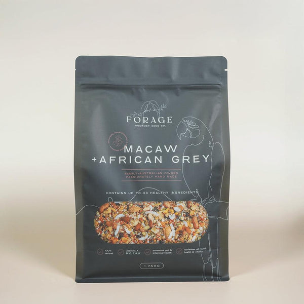 Forage Gourmet Seed - Macaw, African Grey & Amazon Specialty Blend-Bird Seed-Seed Cube