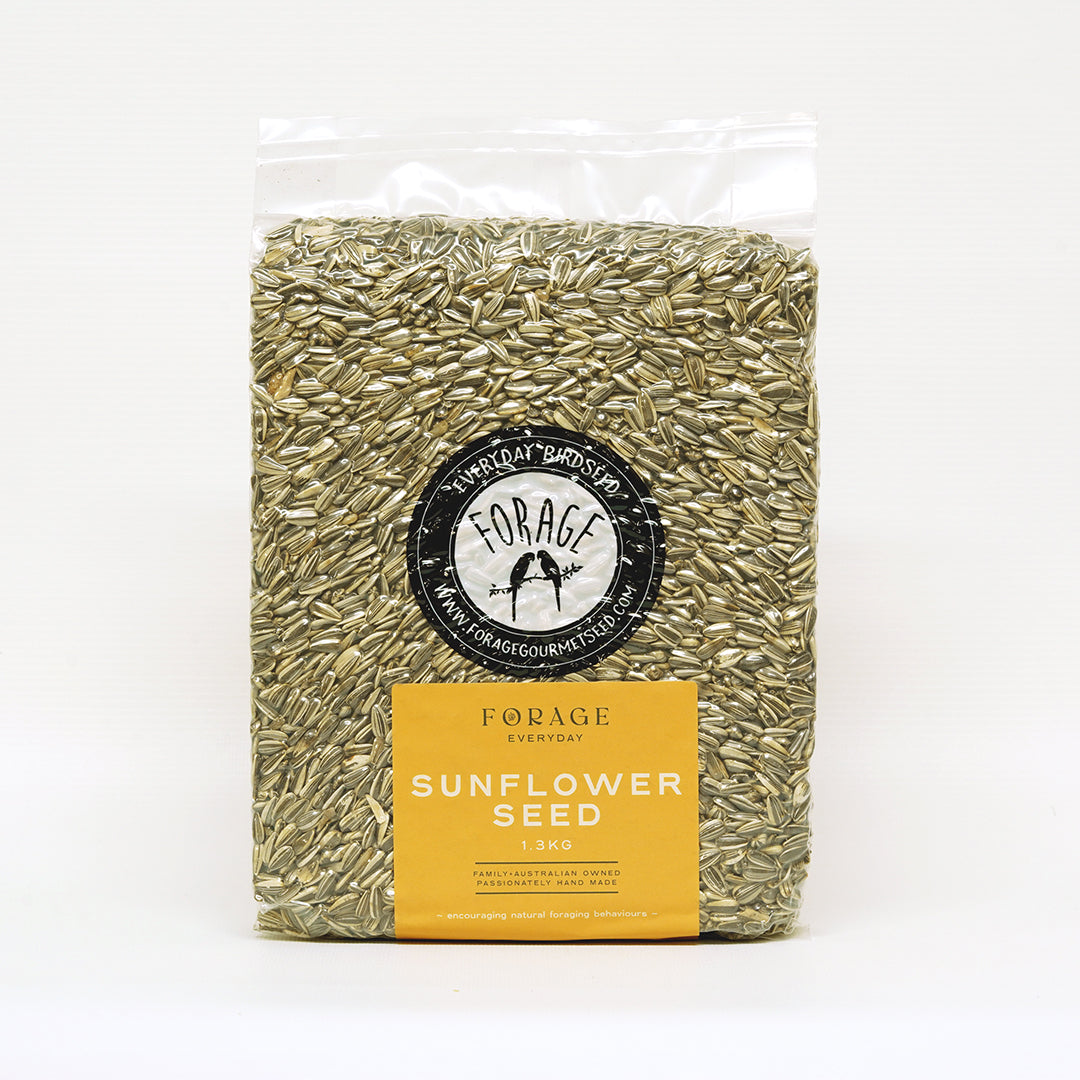 Forage Gourmet Seed - Everyday Grey Stripe Sunflower Seed