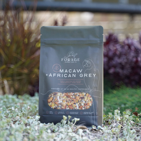 Forage Gourmet Seed - Macaw, African Grey & Amazon Specialty Blend