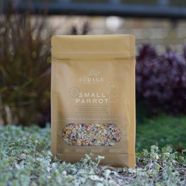Forage Gourmet Seed - Small Parrot Specialty Blend
