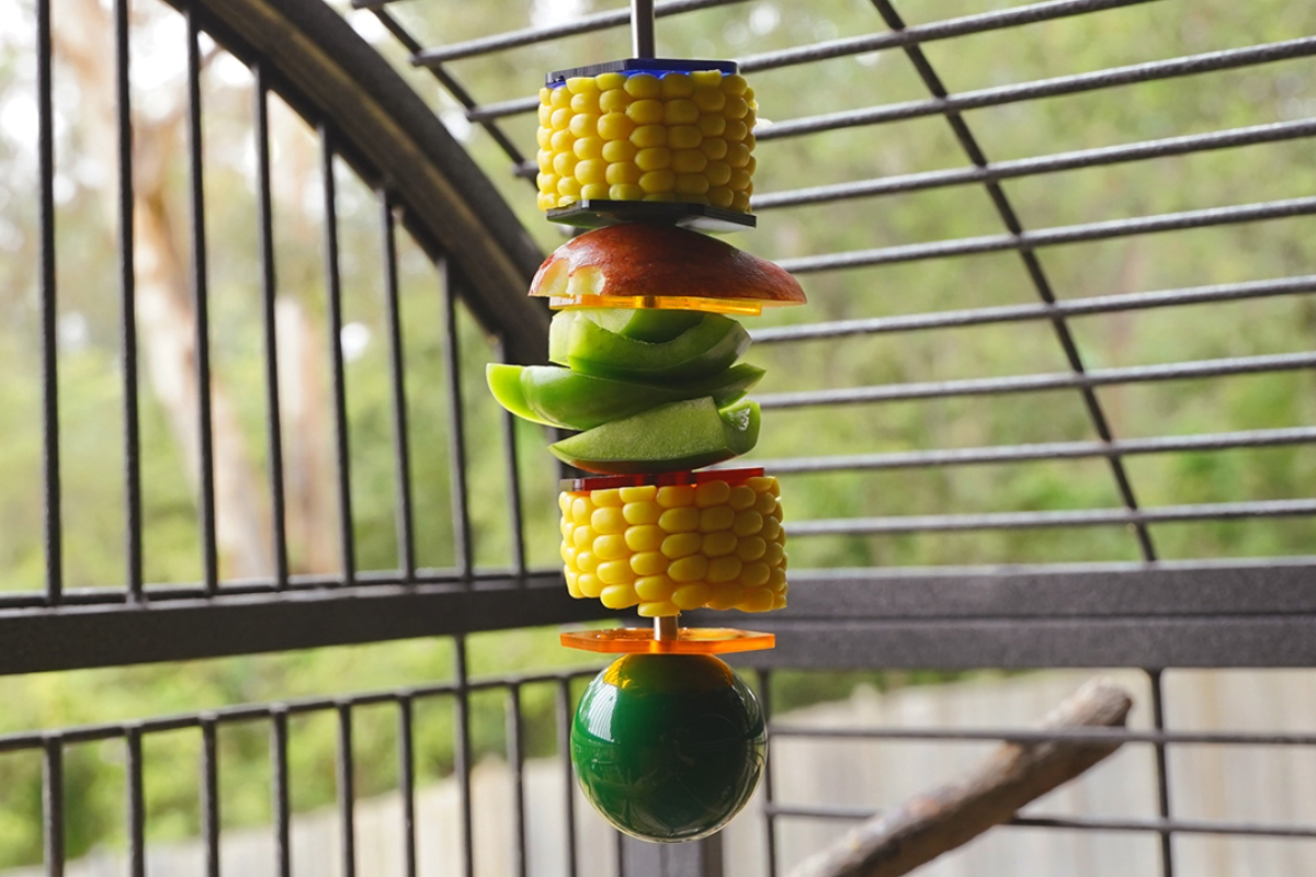 Birdie bar stacked with coloured birdie pucks and vegetables in cage