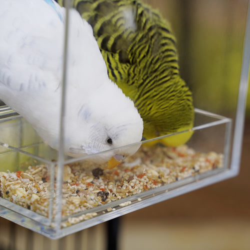 Seed Cube bundle installed in cage – Seed Cube