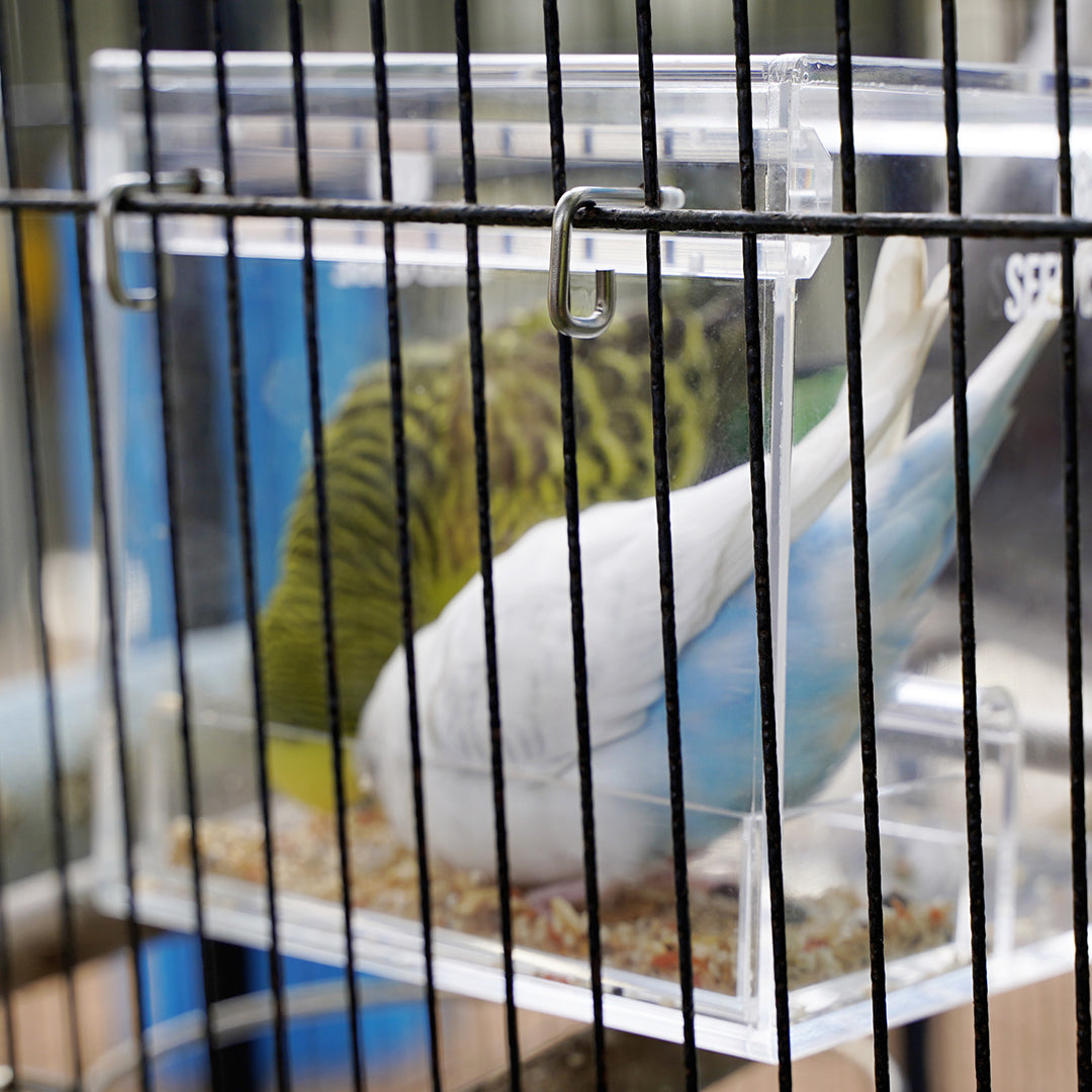 Small parrot feeder set – Seed Cube