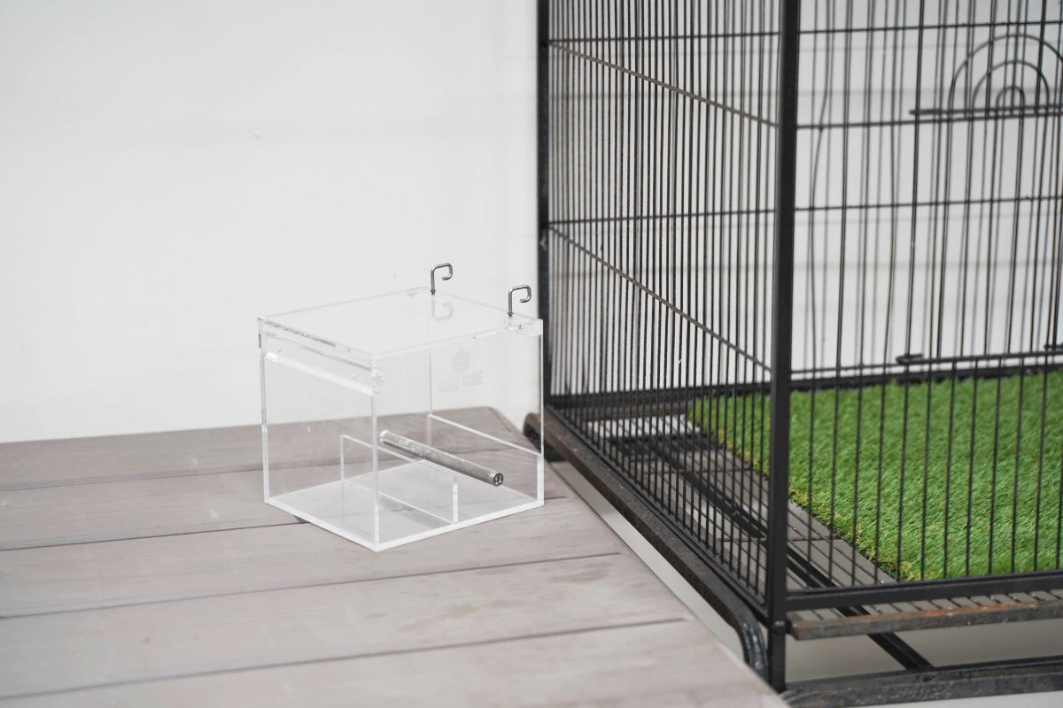 Seed Cube placed on a bench near a bird cage for first familiarisation