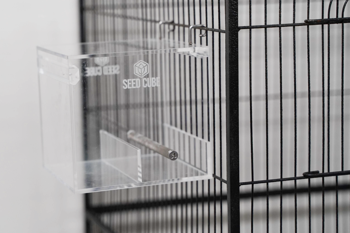 Seed Cube mounted empty on the outside of a cage to build trust