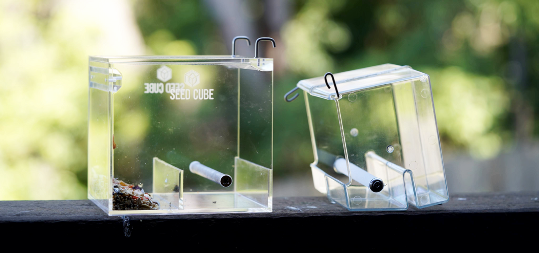 Comparing Bird Feeders: Why the Seed Cube is the Best Choice