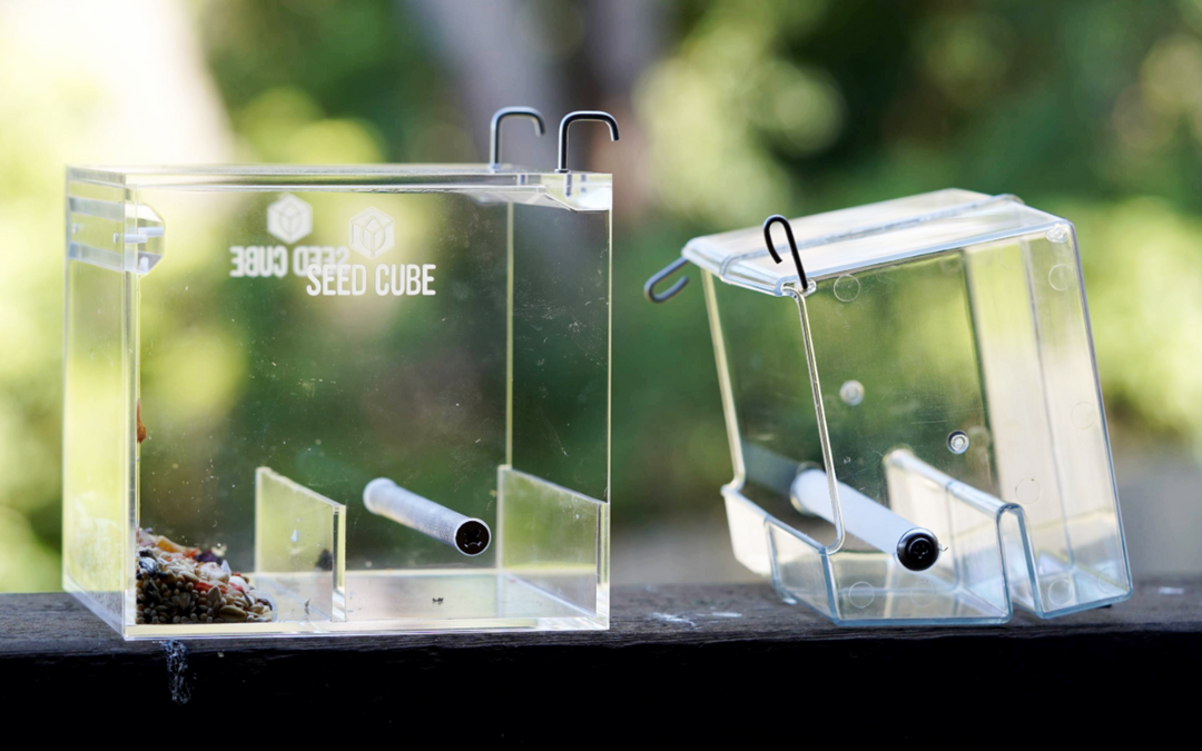 What Size Bird Feeder Is Right for Your Bird? (A Guide for All Species)