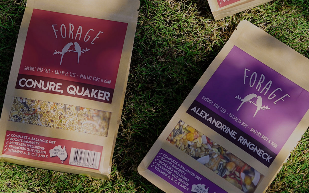 Forage Gourmet Seed: The Ultimate Choice for Bird Lovers Seeking Quality and Nutrition