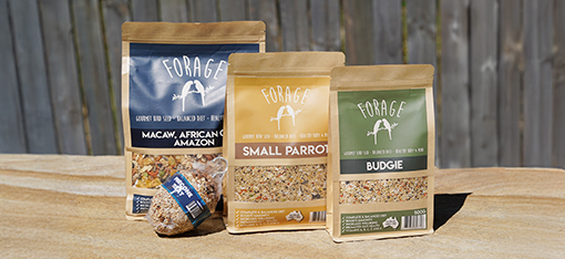 Forage Gourmet Seed