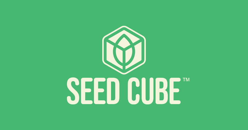 Seed Cube Enrichment Toys & Foraging Accessories