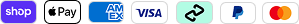 Accepted payment methods