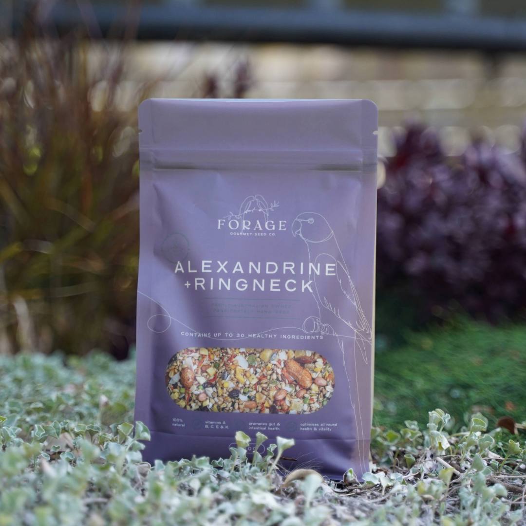 Forage Gourmet Seed - Alexandrine & Ringneck Specialty Blend