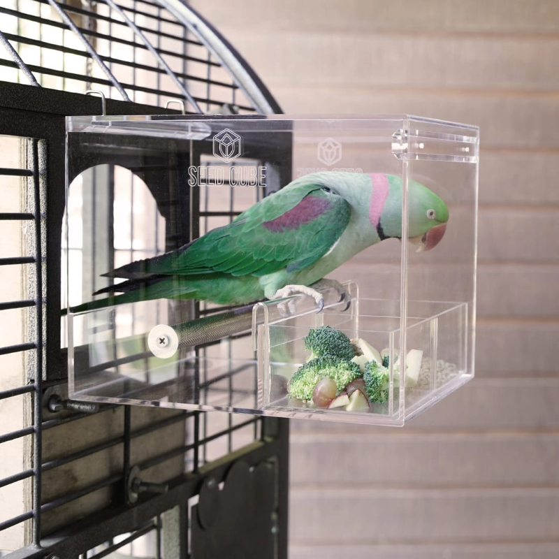 Seed Cube feeding problem visual