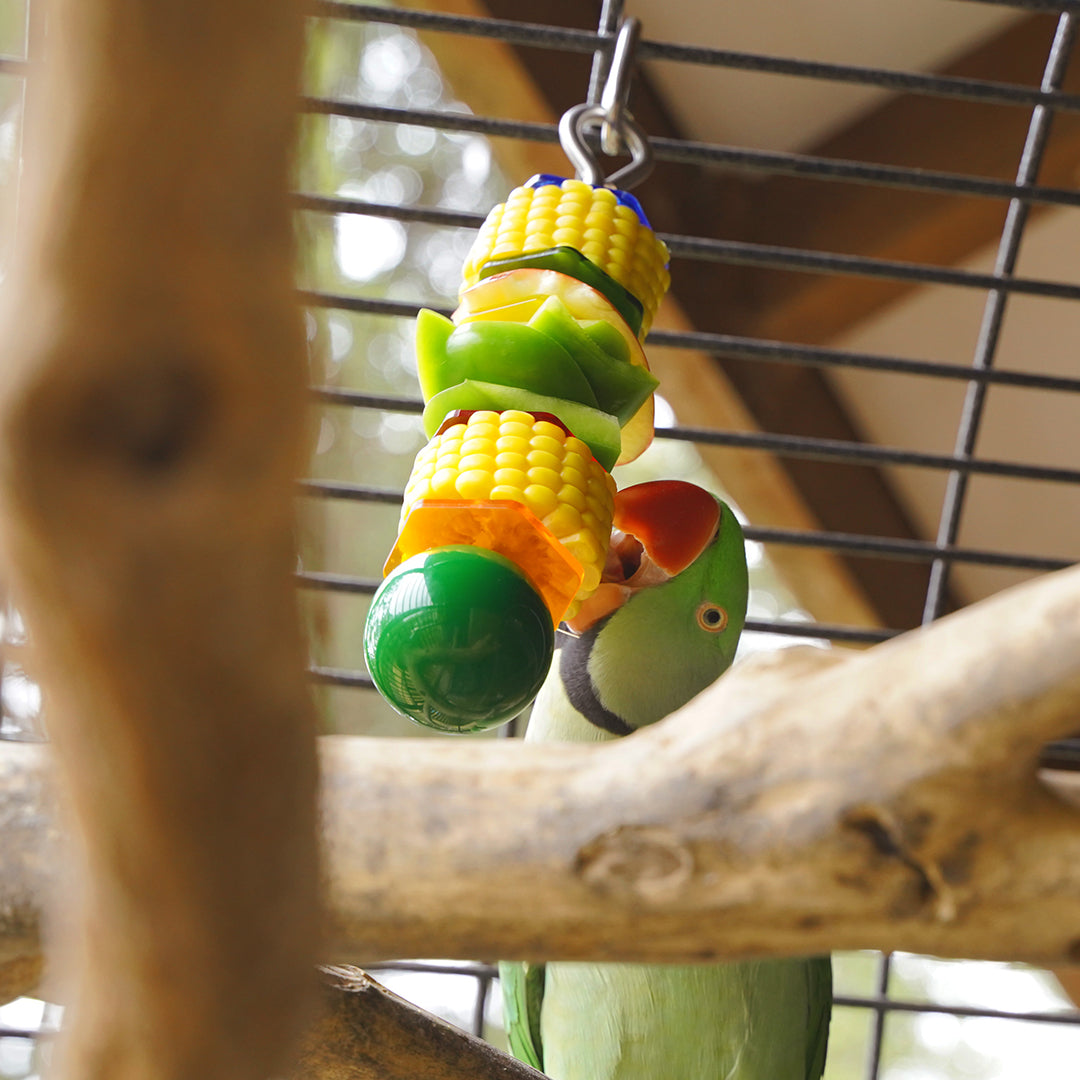 Birdie Bar - Enrichment Toy