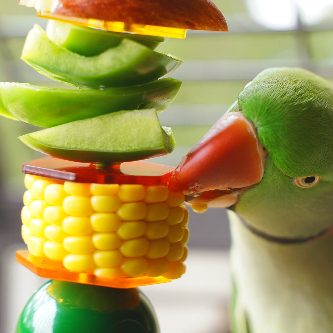 Birdie Bar - Enrichment Toy