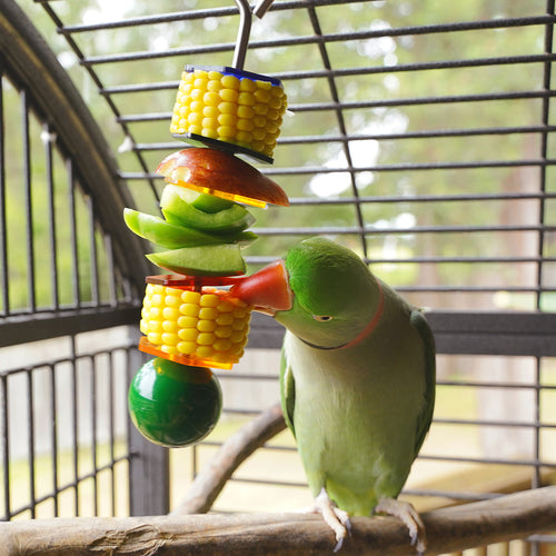 Birdie Bar - Enrichment Toy