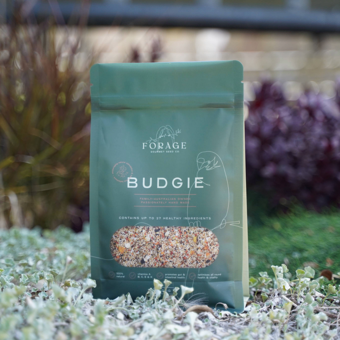 Forage Gourmet Seed - Budgie Specialty Blend