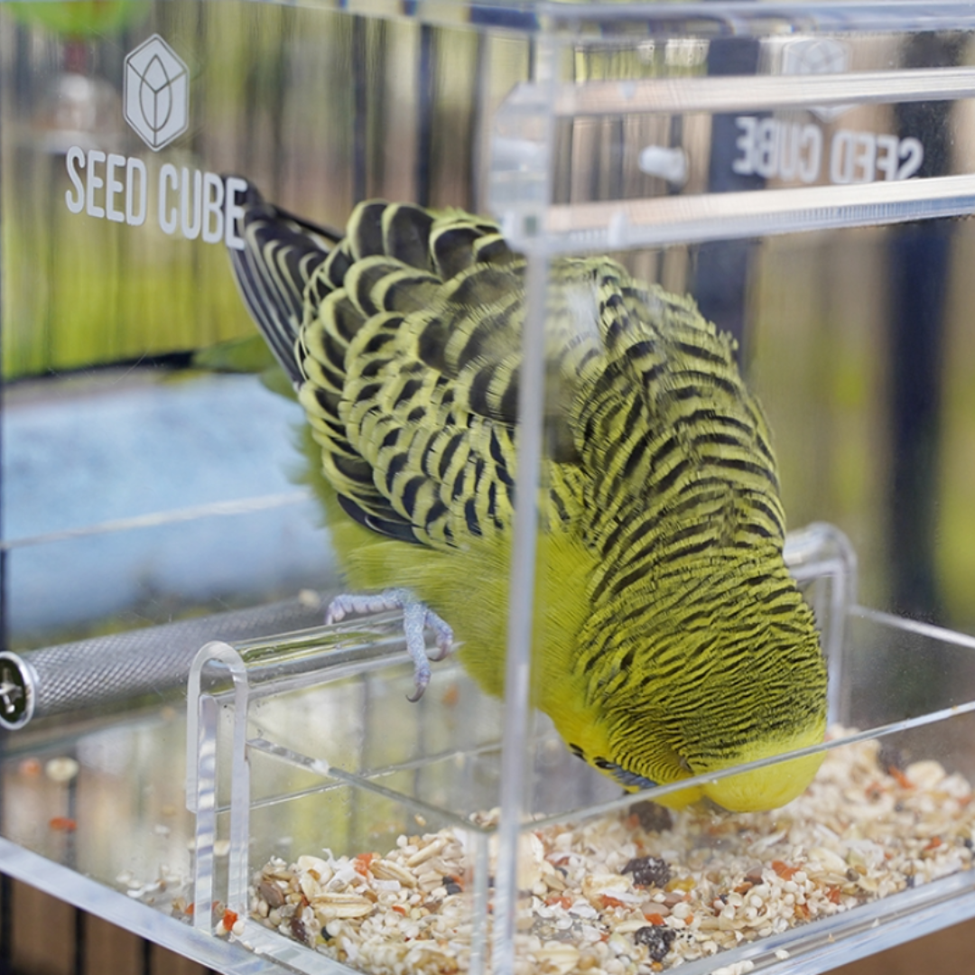 Cleaner feeds, less waste.