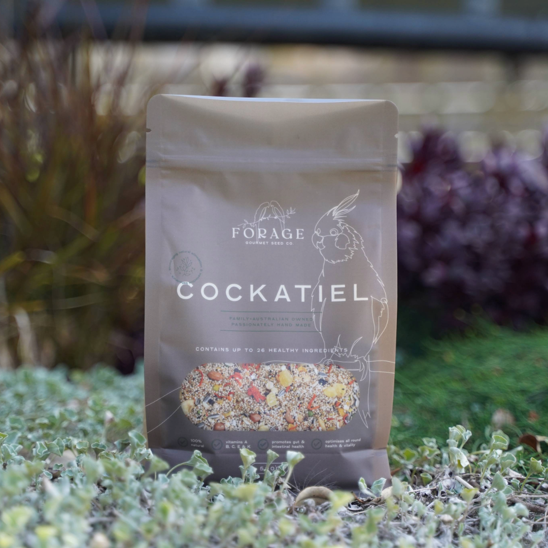 Forage Gourmet Seed - Cockatiel Specialty Blend