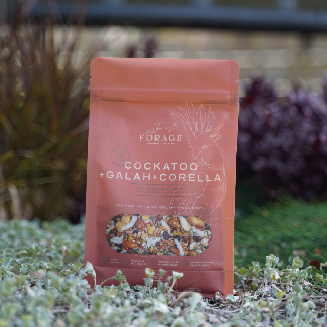 Forage Gourmet Seed - Galah, Corella & Cockatoo Specialty Blend
