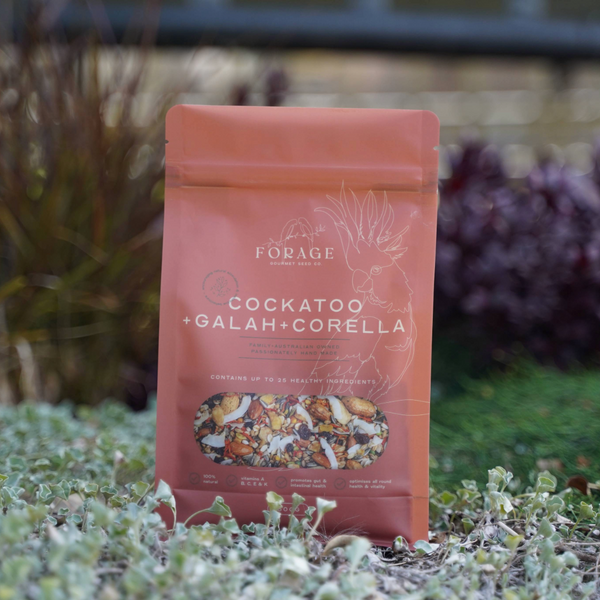Forage Gourmet Seed - Galah, Corella & Cockatoo Specialty Blend