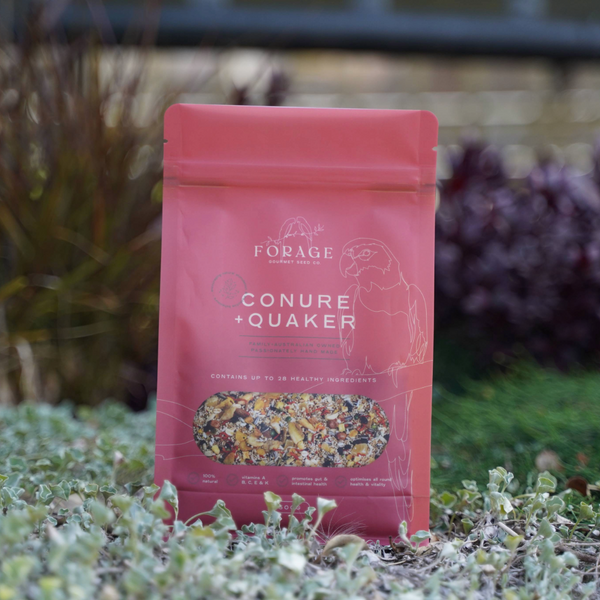 Forage Gourmet Seed - Conure & Quaker Specialty Blend