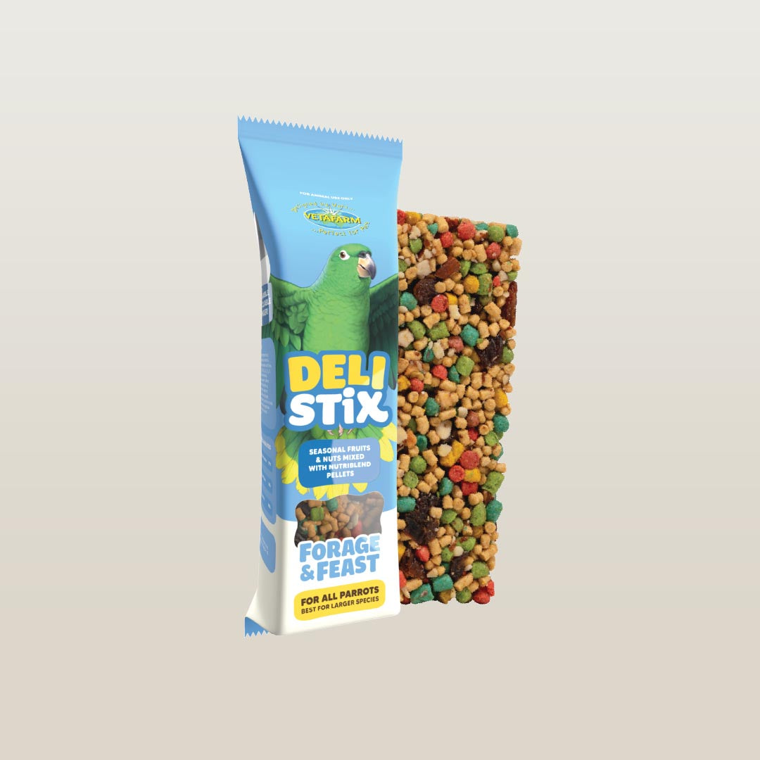 Vetafarm Deli Stix Forage & Feast-Treat-Seed Cube