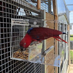 EASY-TRAY3.gif__PID:a4d233a9-4c2d-46be-8bf1-987940f66d39