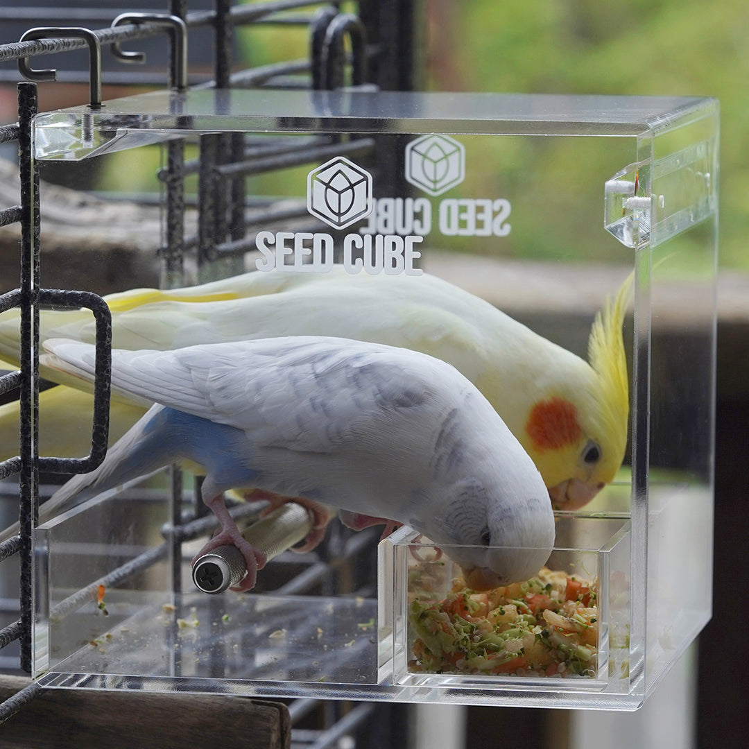 Seed Cube - Small - Super Bundle