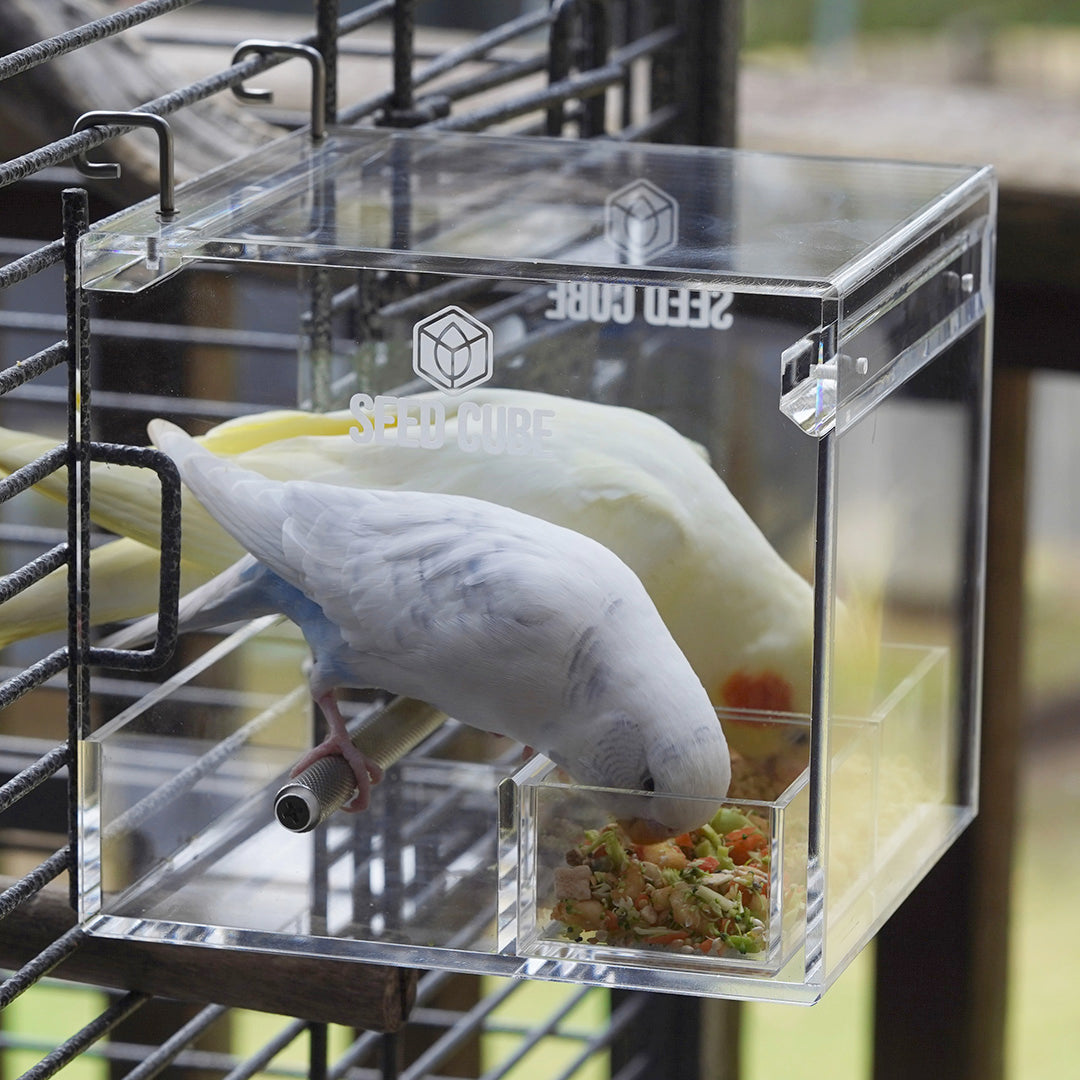 Seed Cube Small + Small Easy-Inserts Bundle - No mess bird feeder