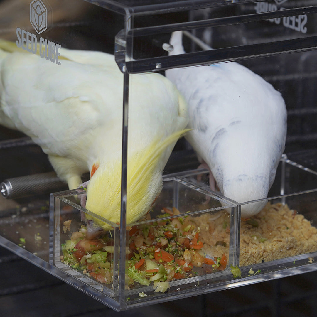 Seed Cube Small + Small Easy-Inserts Bundle - No mess bird feeder