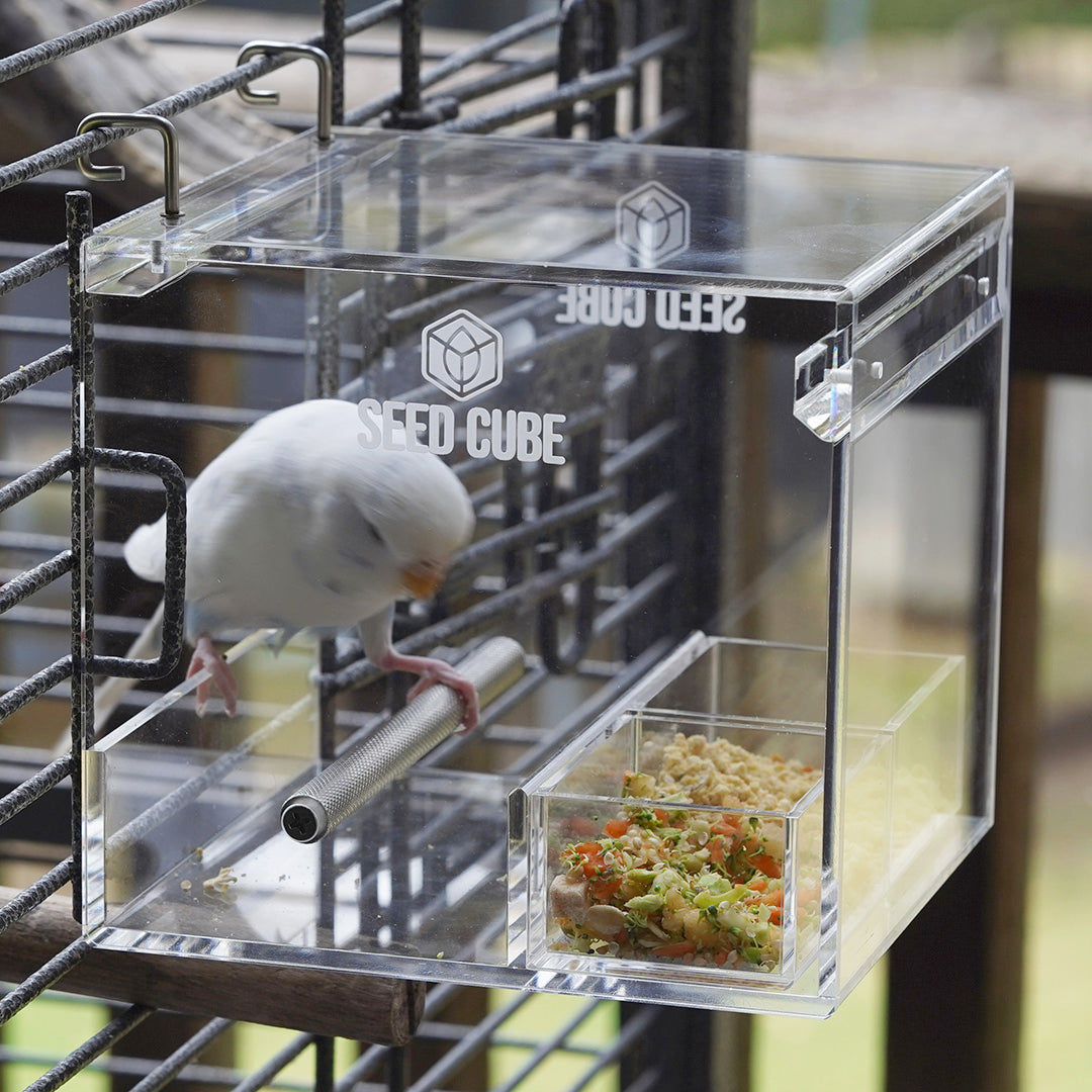 Seed Cube Small + Small Easy-Inserts Bundle - No mess bird feeder