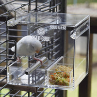 Seed Cube Small + Small Easy-Inserts Bundle - No mess bird feeder
