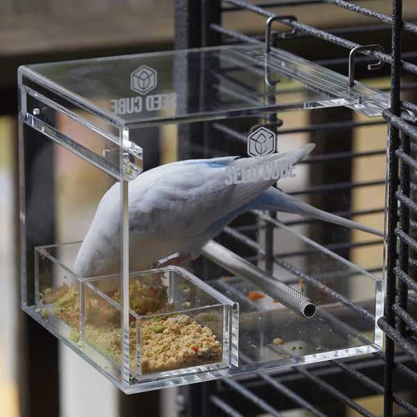 Seed Cube Small + Small Easy-Inserts Bundle - No mess bird feeder