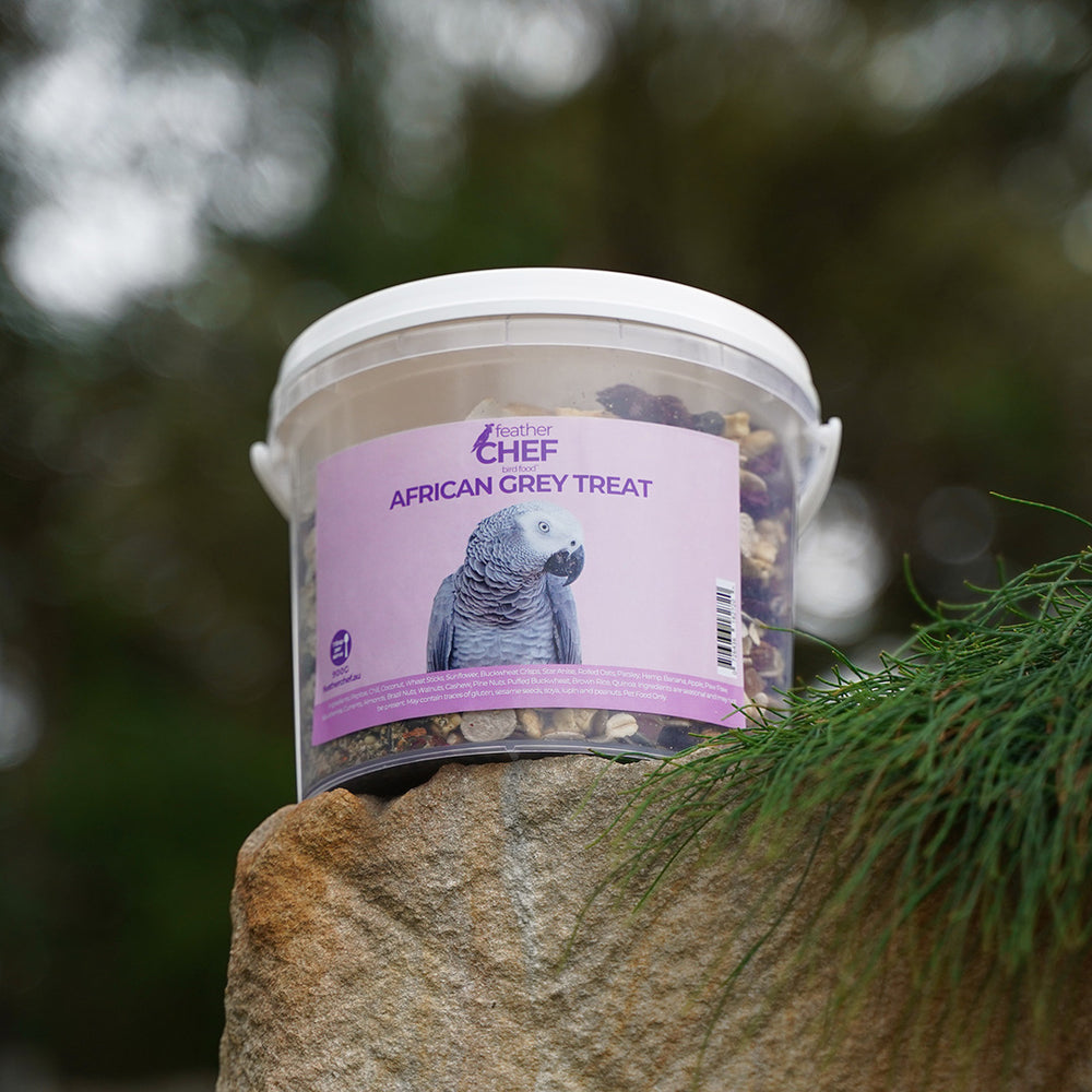 Bucket of Feather Chef African Grey Treats on a stone surface with a blurred natural background