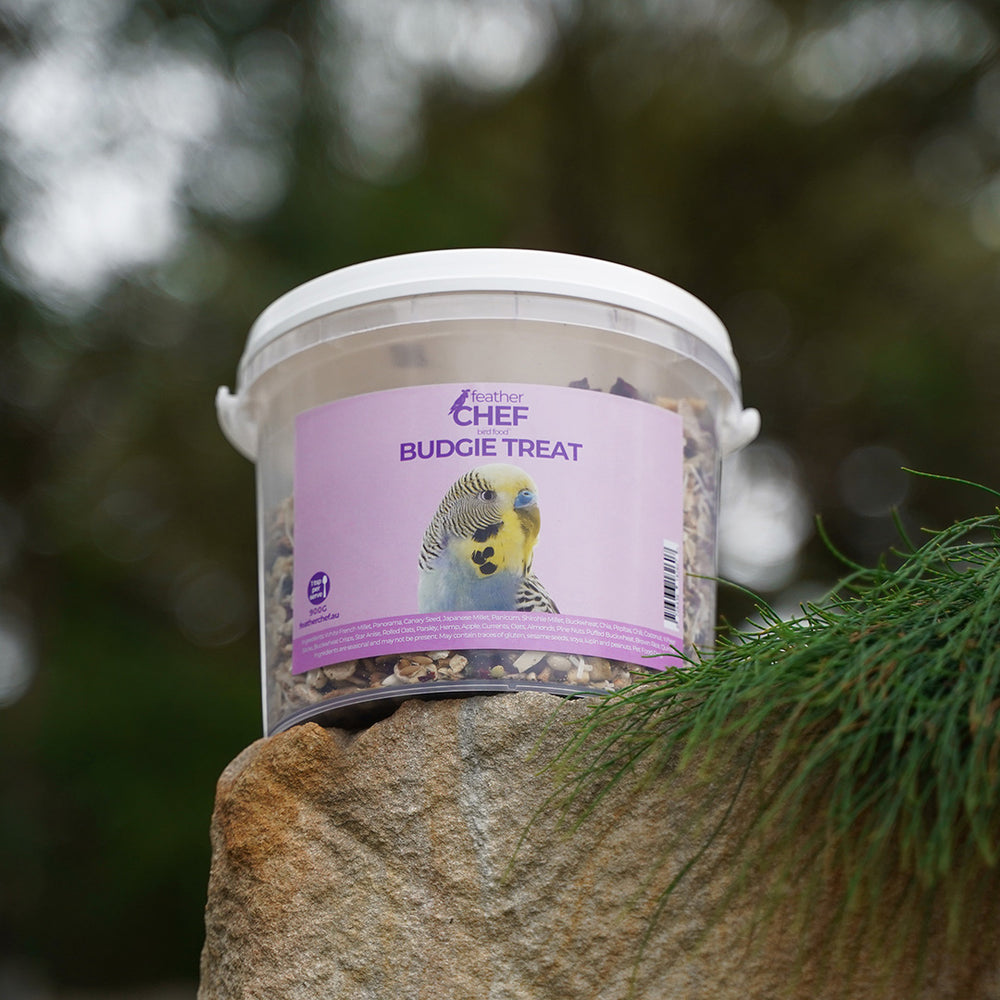 Bucket of Feather Chef Budgie Treats on a stone surface with a blurred natural background