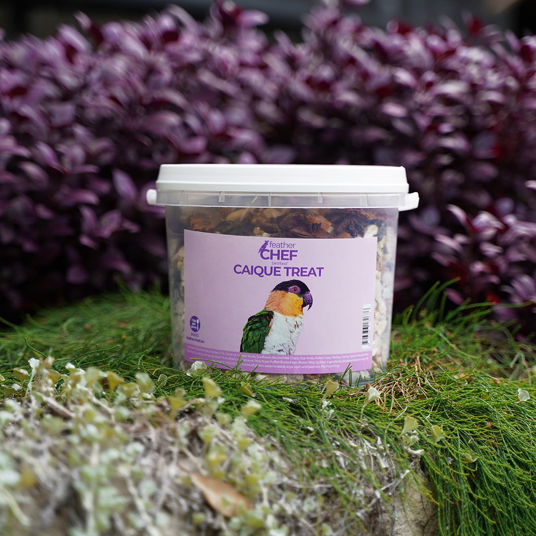 Bucket of Feather Chef Caique Treats 