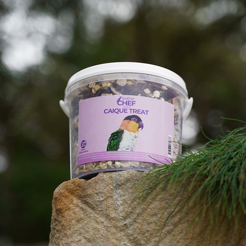 Bucket of Feather Chef Caique Treats 