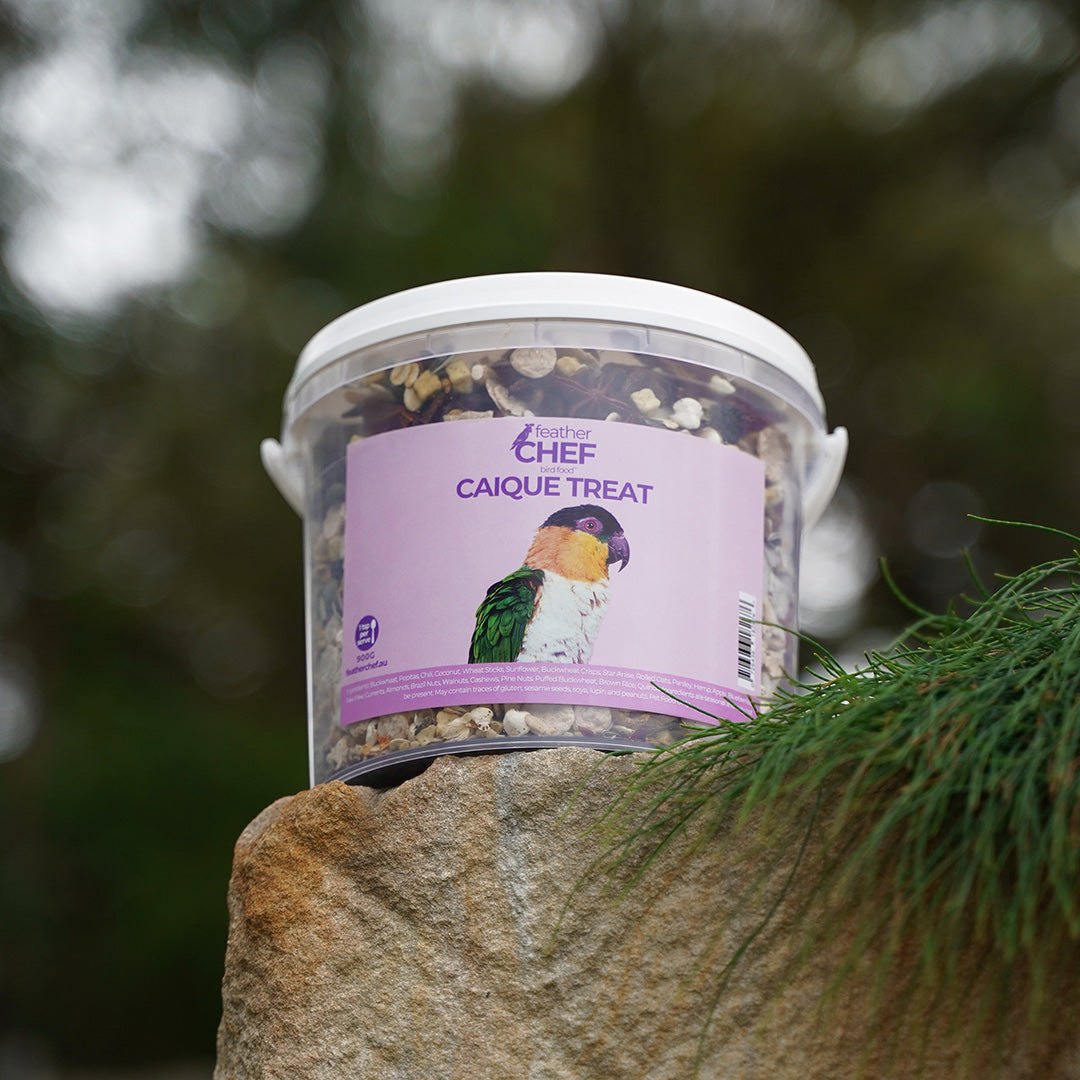Bucket of Feather Chef Caique Treats 