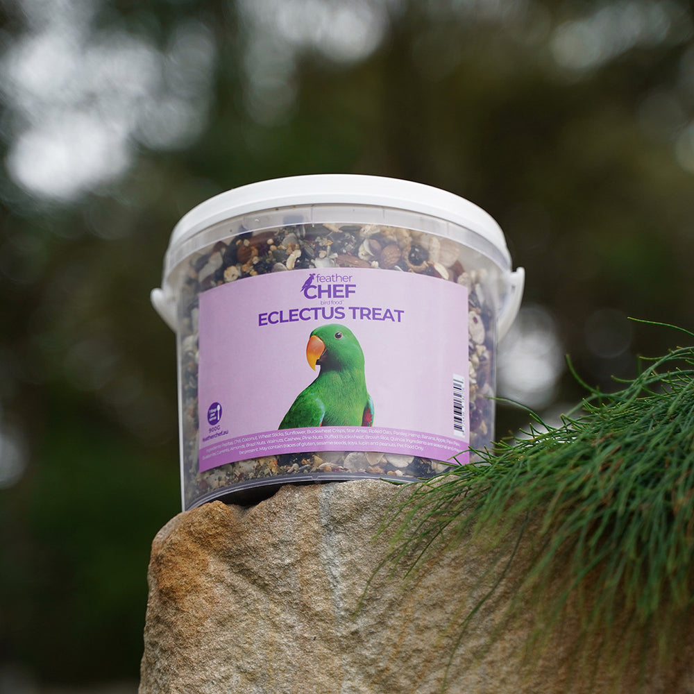 Bucket of Feather Chef Eclectus Treats on a stone surface with a blurred natural background