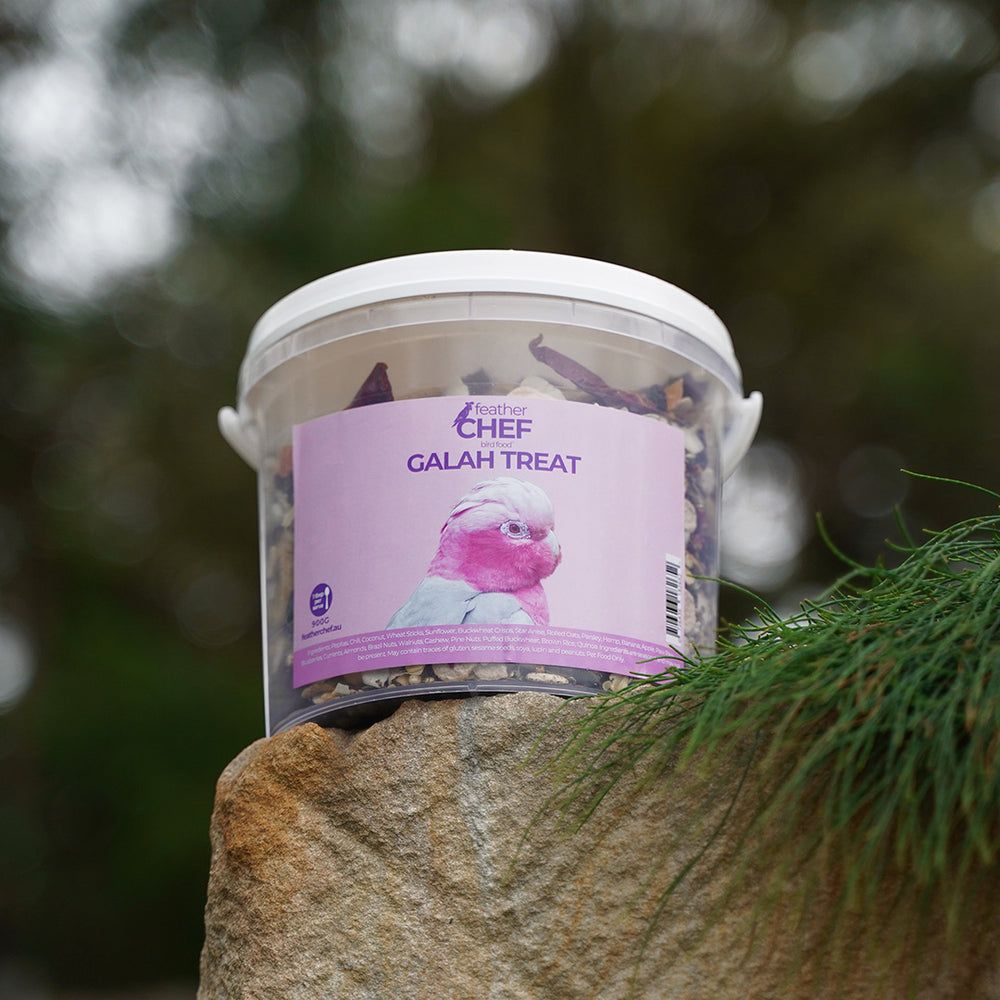 Container of Feather Chef Galah Treats on a rock with a blurred natural background