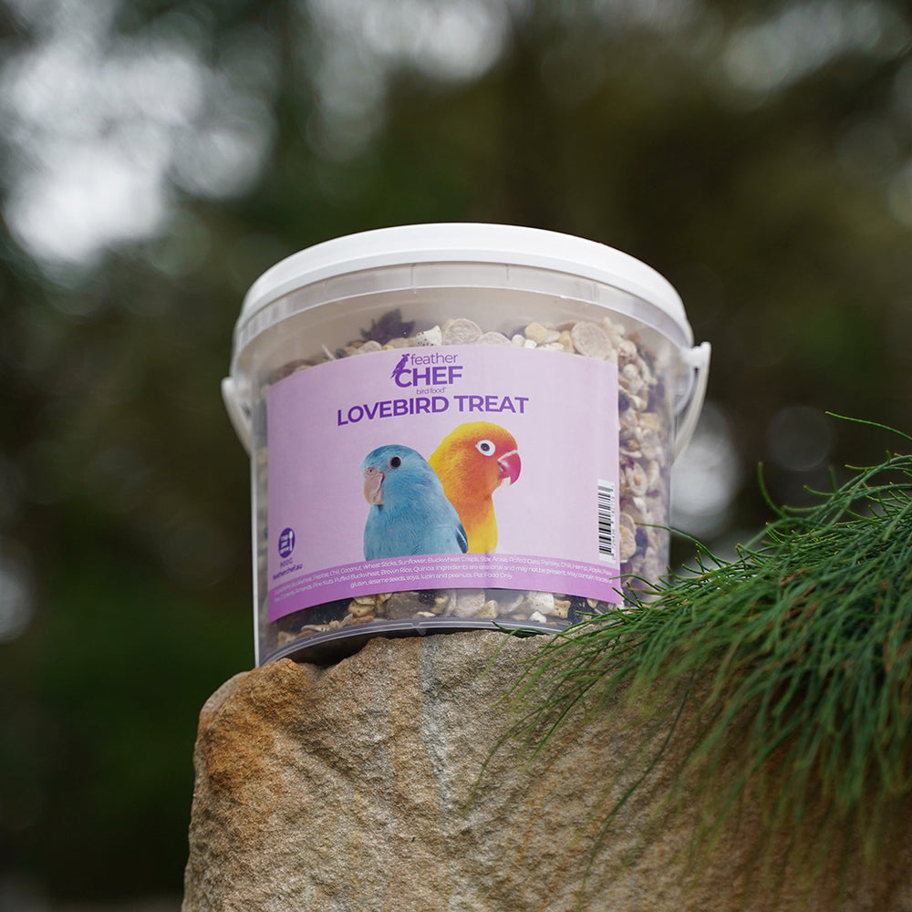 Bucket of Lovebird Treats with a blurred natural background